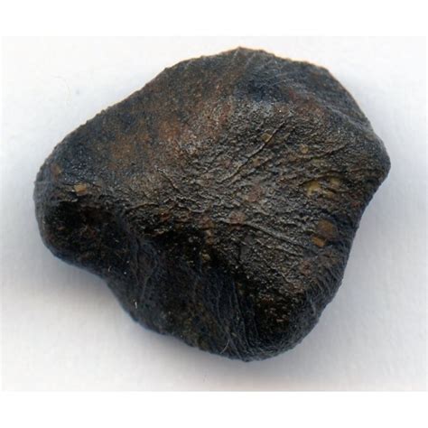 Oriented Meteorite Camel Donga