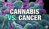 Pictures of Marijuana And Cancer