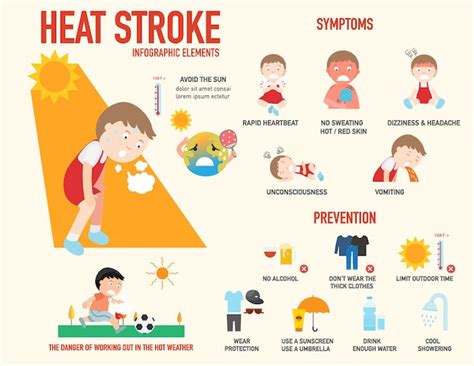 Premium Vector Heat Stroke Risk Sign And Symptom And Prevention