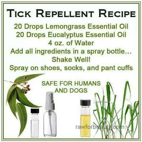 Tick Repellant Recipe Living Essentials Oils Tick Repellent