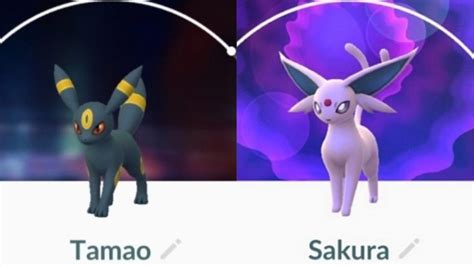 Eevee Evolutions In Pokémon Go How To Get All Evolutions Techradar