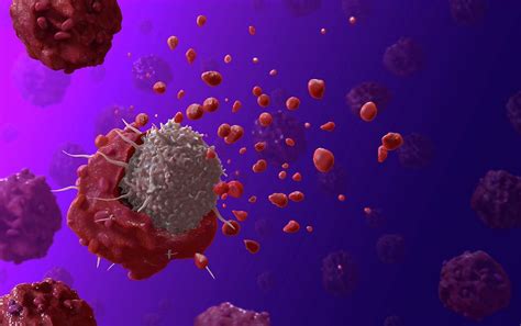 T Cell Attacking Cancer Cell Photograph By Tim Vernon Science Photo