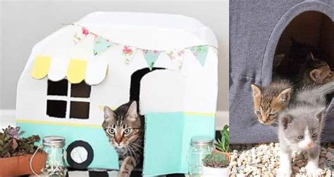 32 Cute Diy Ideas To Make For Your Cat Teen Crafts
