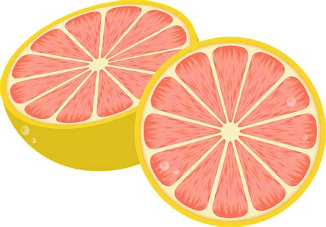 Grapefruit Clipart Free Download Transparent Png Creazilla