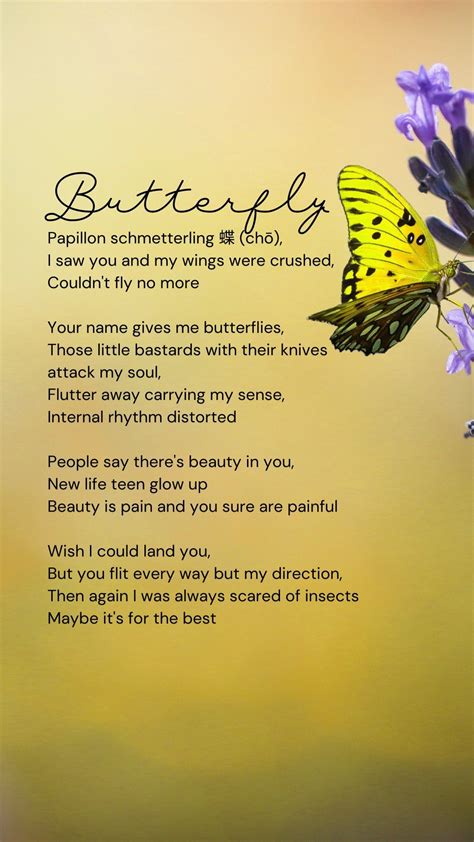 butterfly on flowerthe poem goes papillon schmetterling chō i saw you and my wings were