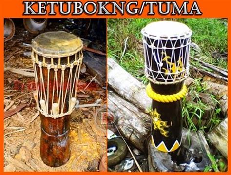 Fungsi Alat Musik Tradisional Tuma Kalimantan Barat Tabriiz Id Riset