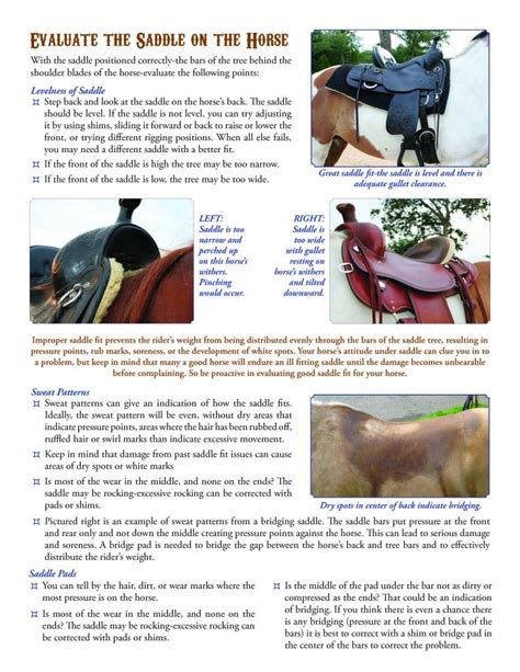 How To Fit Saddles On Horses Luck Saddlery And Outfitters Horse