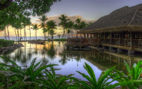 Hut On Exotic Beach Wallpaper Nature And Landscape Wallpaper Better