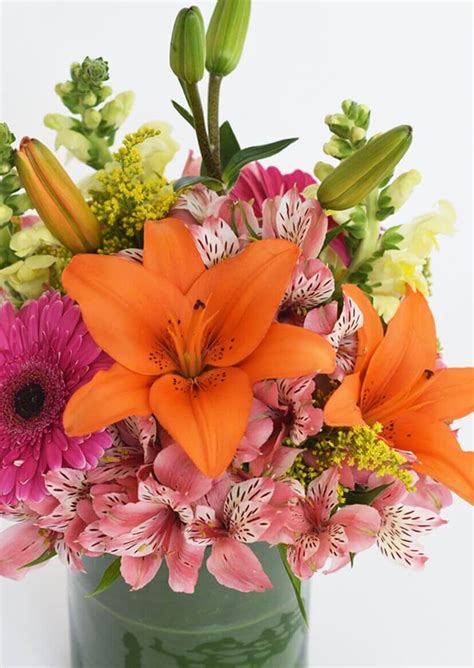 Haz click en la esquina superior izquierda y encuentra todas. Arreglos Florales Economicos - Flores a Domicilio CDMX | AZAP
