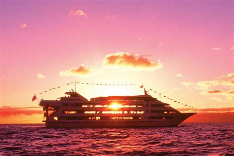 2023 Star Casual Sunset And Show Cruise Reserve Now