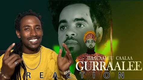 Haacaaluu Caalaa Gurraalee New Afan Oromo Music Reaction Official