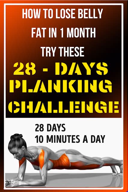 Try The 28 Day Planking Challenge And Melt Belly Fat And More