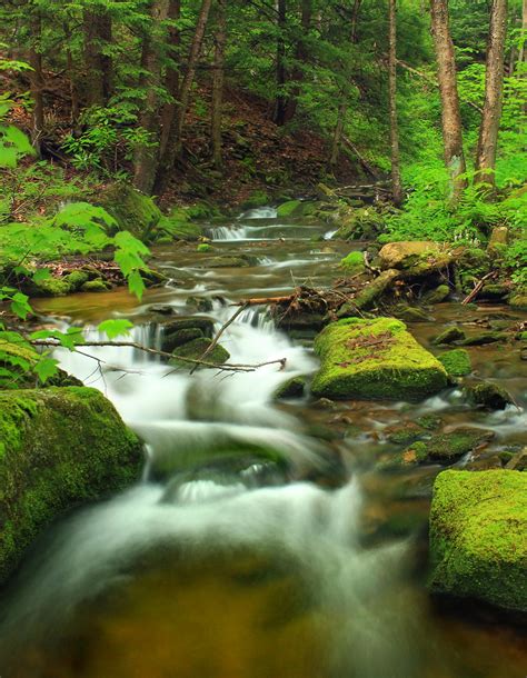 Free Picture Water Waterfall Stream Wood Nature River Moss