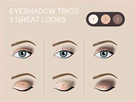 How To Put Eyeshadow On Correctly