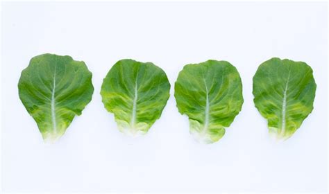 Premium Photo Lettuce Leaves On White Surface