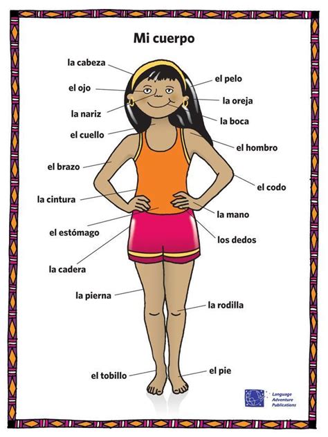 Body Parts In Spanish Worksheet