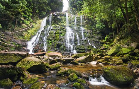 From wikipedia, the free encyclopedia. Franklin-Gordon Wild Rivers National Park - Waterfall in ...