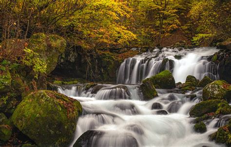 Wallpaper Autumn Forest River Stones Waterfall Moss Japan