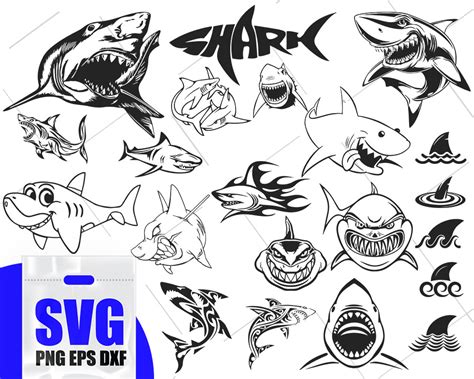 28+ Shark Svg File Free PNG Free SVG files | Silhouette and Cricut