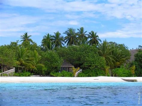 Вилла с собственным пляжем на Мальдивах Отели Мальдивы Бунгало