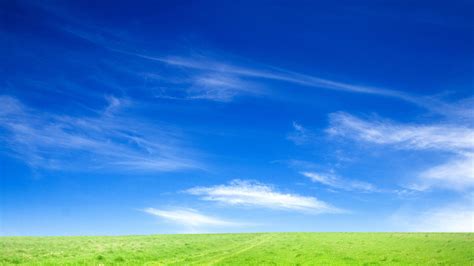 Blue Sky And Green Grass Wallpapers Hd Wallpapers 47 Grass And Sky