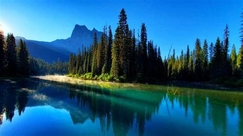 Güzel Manzara Ladin Ağaçları Mavi Gökyüzü Güneş Işığı Yansıma Dağları