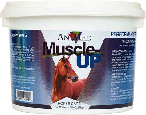 Vitamin e liquid supplement for horses. Muscle-Up Powder Animed ( - Supplements - Muscle Building)