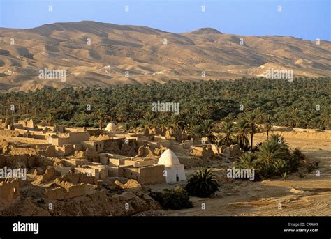 Tunisia Tozeur Governorate Tamerza Mountain Oasis At The Bottom Of
