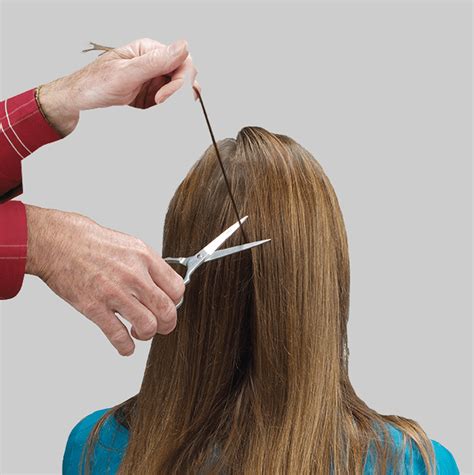 Hair Follicle Drug Test with Extended Opiate Panel - AlcoPro