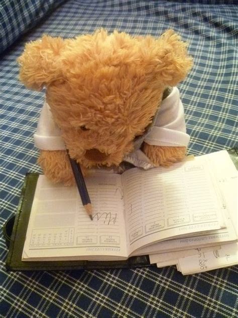 What's the difference between a surfeit and a stuffing? 226 best Plush toys images on Pinterest | Plush, Teddybear ...