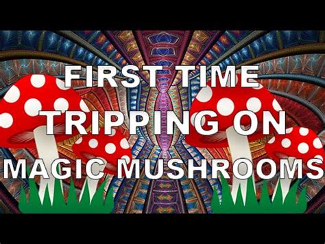 First Time Tripping On Magic Mushroom Heroic Dose YouTube