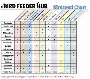 Backyard Bird Seed Guide Nutritional Info And Where To Buy Bird