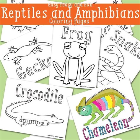 My kids love to color simple line drawings of animals. Reptile Coloring Pages Free Printable Easy Peasy And Fun ...