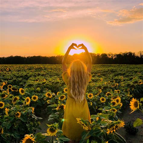 Love Is In The Field Sunflower Field Pictures Sunflower Photography Sunflower Photo