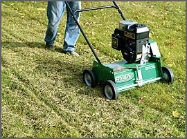 Maybe you would like to learn more about one of these? Services - Cutting Edge Lawn & Property Services LLC ...
