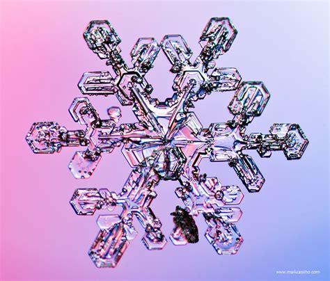 2013 Snow Crystals