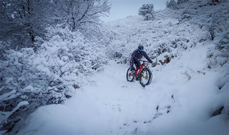 5 Reasons Fat Biking Can Make You A Better Rider Singletracks