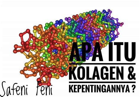 Sebagai manusia yang hidup di bumi, kita harus tahu apa yang diperbuat daripada earth crust. APA ITU KOLAGEN ? - Blog Safeni Feni