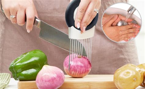 Orblue All In One Onion Holder Odor Remover Slicer