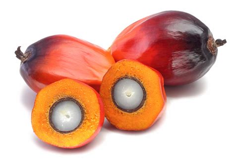 What You Need To Know About Palm Oil