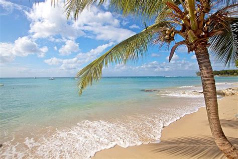 20 Tropical Paradise Vacation Ideas Tropical Vacation Destinations