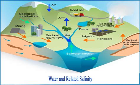 What Is Salinity In Water Netsol Water