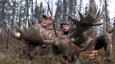 Giant Yukon Moose Bow Kill At 5 Yards Youtube