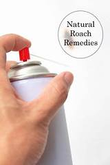 Home Remedies For Pest Removal