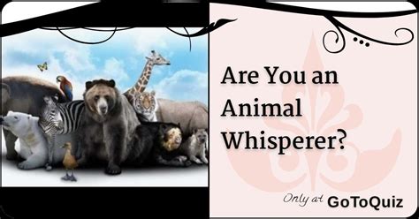 Are You An Animal Whisperer