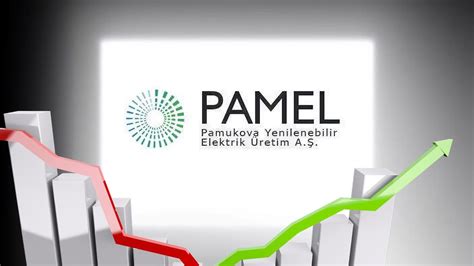 PAMEL Pamel Yenilenebilir Elekt hissesinin son bir yıllık takas