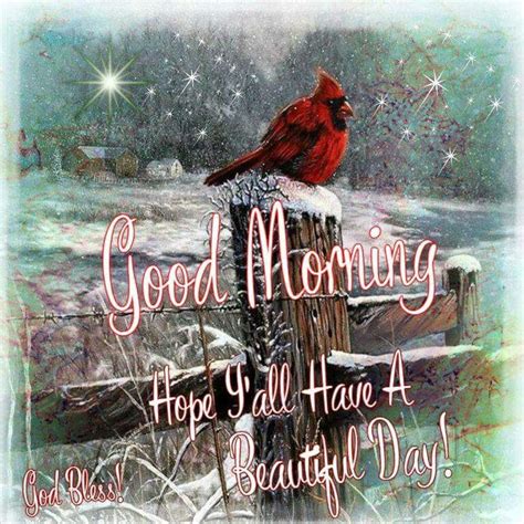 Cardinal Good Morning Good Morning Quotes Good Morning Sunshine
