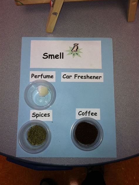 Five Senses Smell Activity