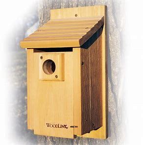 600 x 778 jpeg 25 кб. Image result for Red Cardinal Bird House Plans | Bluebird ...