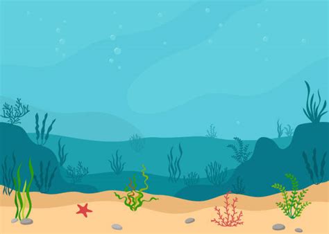 Ocean Floor Stock Photos Pictures And Royalty Free Images Istock
